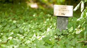 Biodiversity at Intel Ireland Biodiversity at Intel Ireland